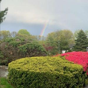 Meet your Posher, Ardy